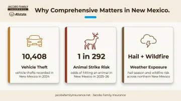 New Mexico comprehensive coverage risk factors vehicle theft wildlife and hail statistics