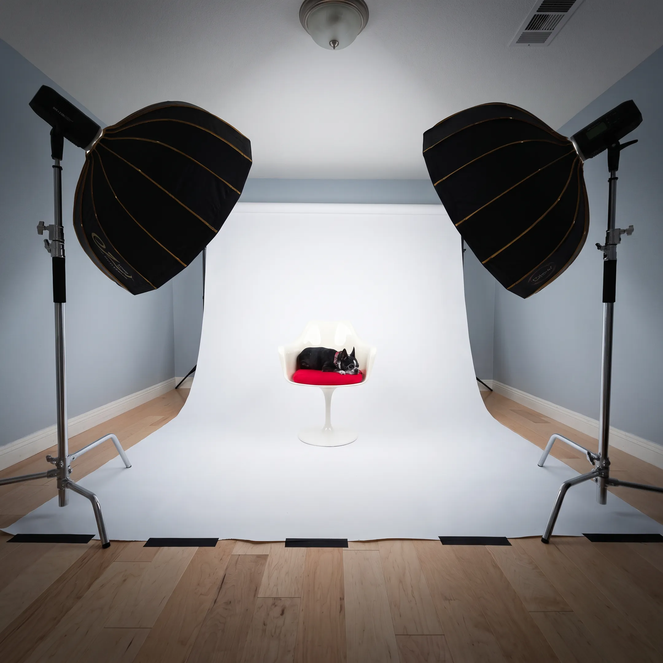 Commercial product photography setup with a styled product on a studio surface