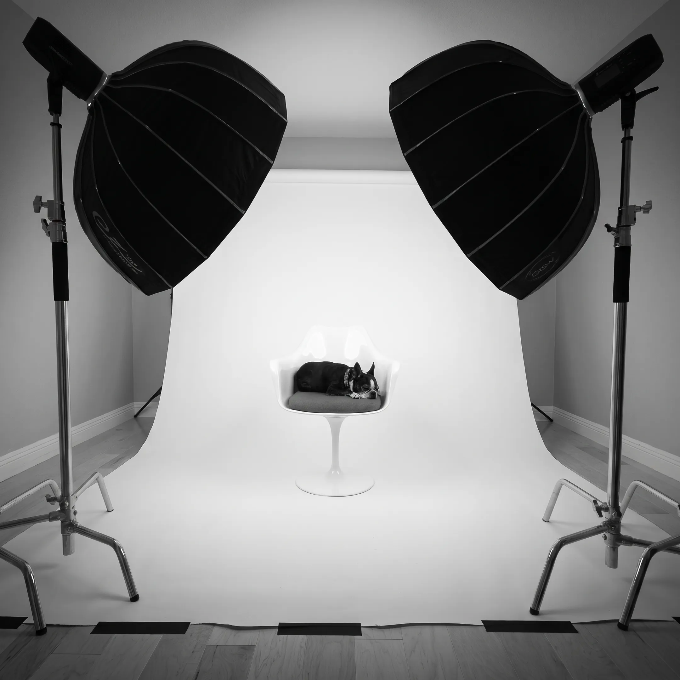 Photographer arranging products for a commercial studio shoot