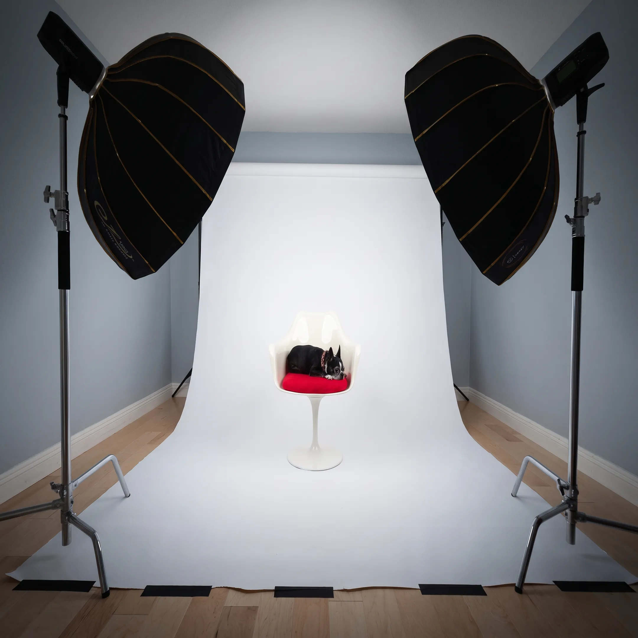 Commercial studio product photography setup with professional studio lighting and camera equipment