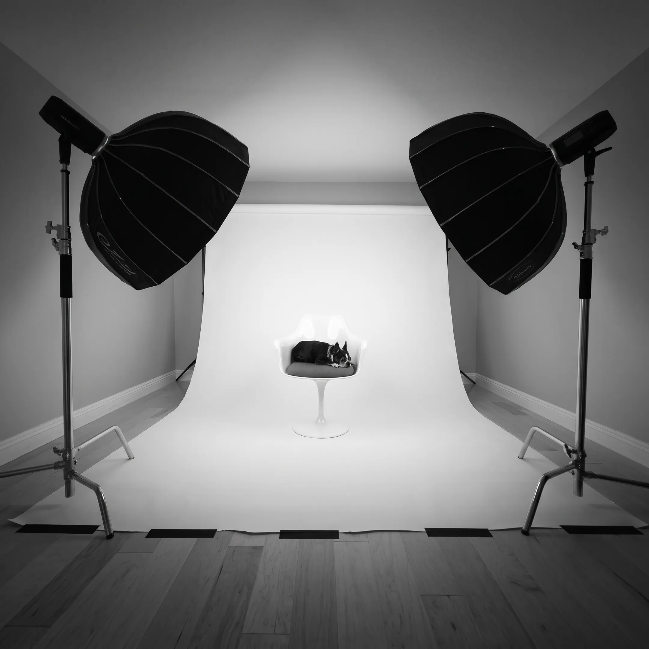 Professional product photography studio lighting setup with camera and styled consumer goods