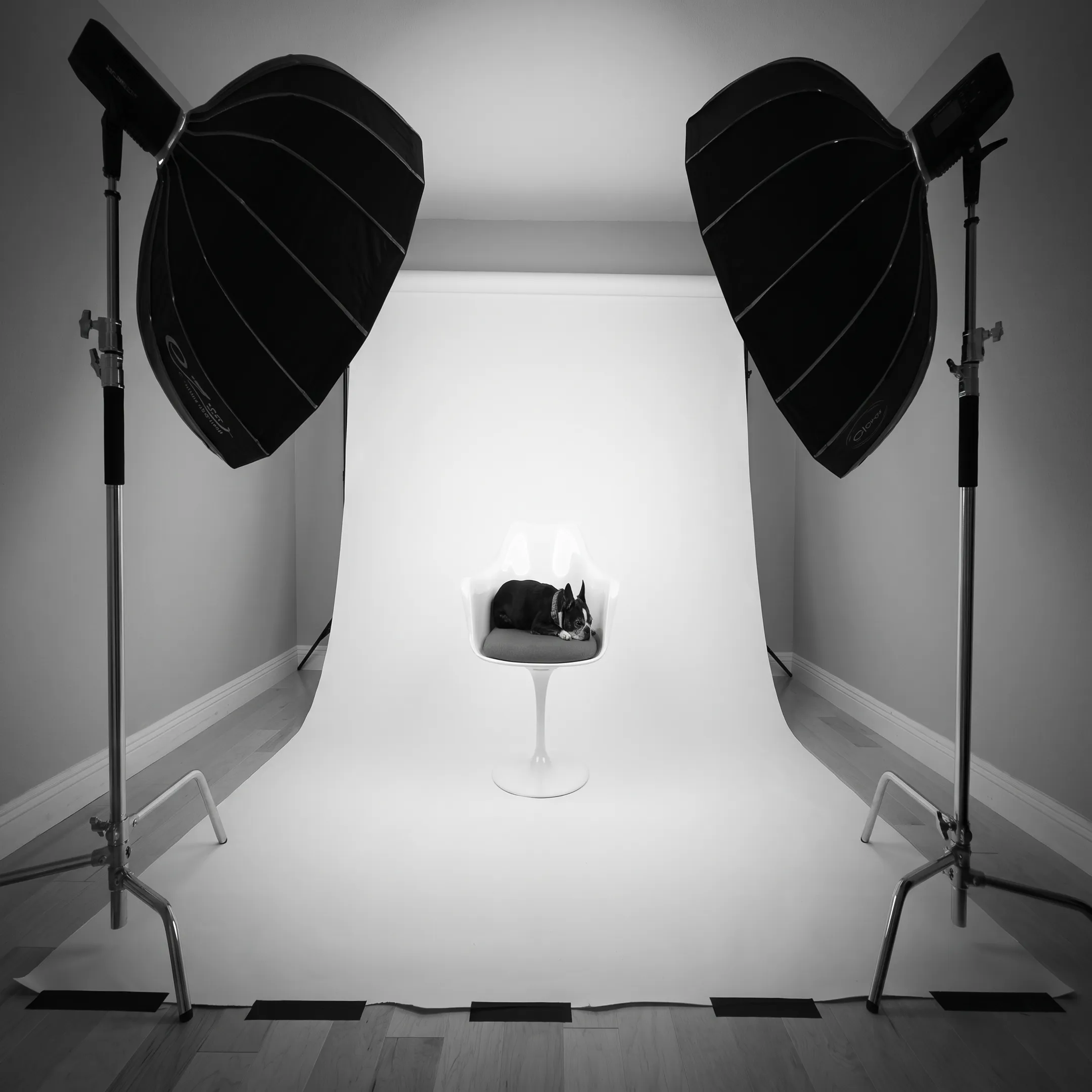 Commercial product photography set with professional lighting and camera equipment