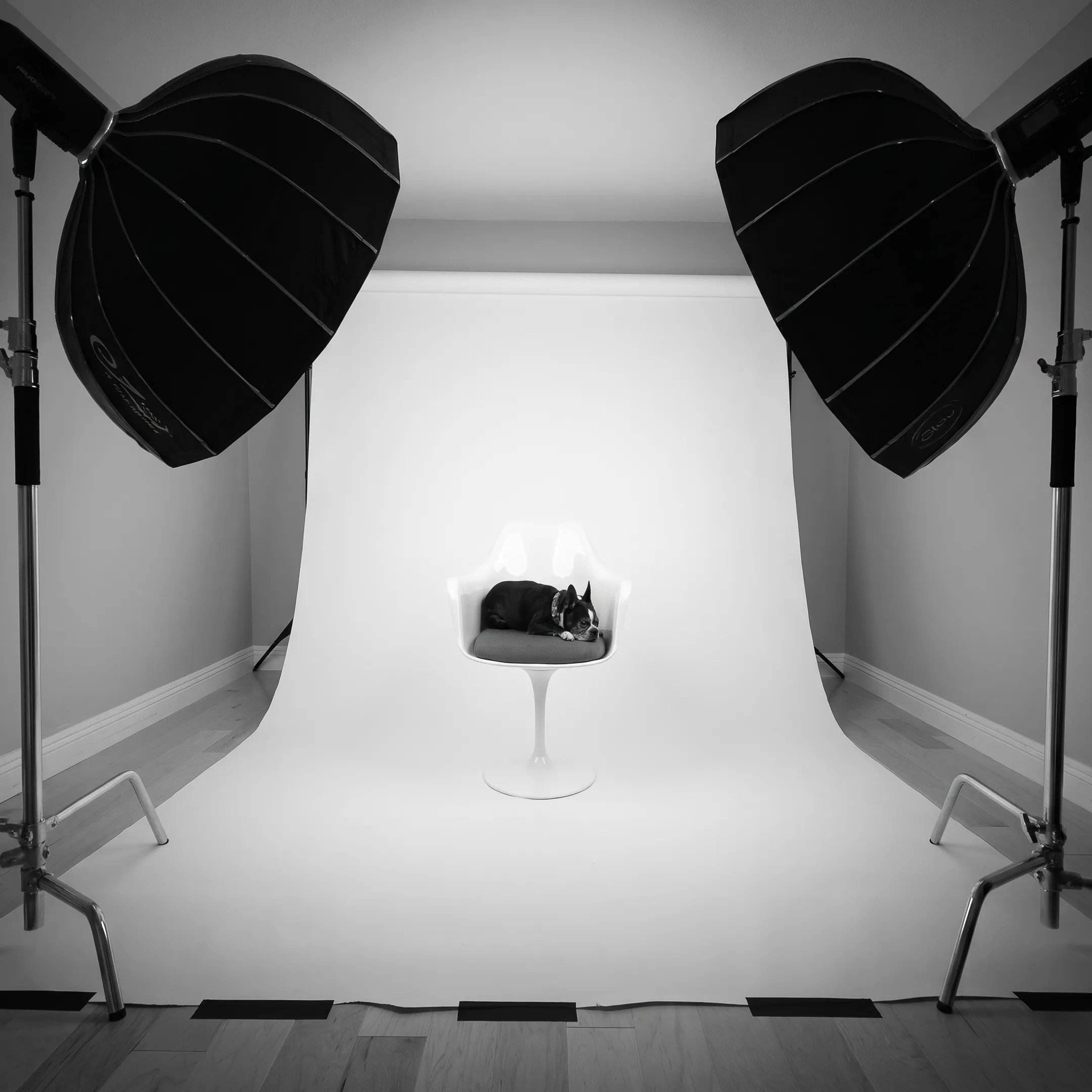 Commercial product photography setup with professional studio lighting and camera gear