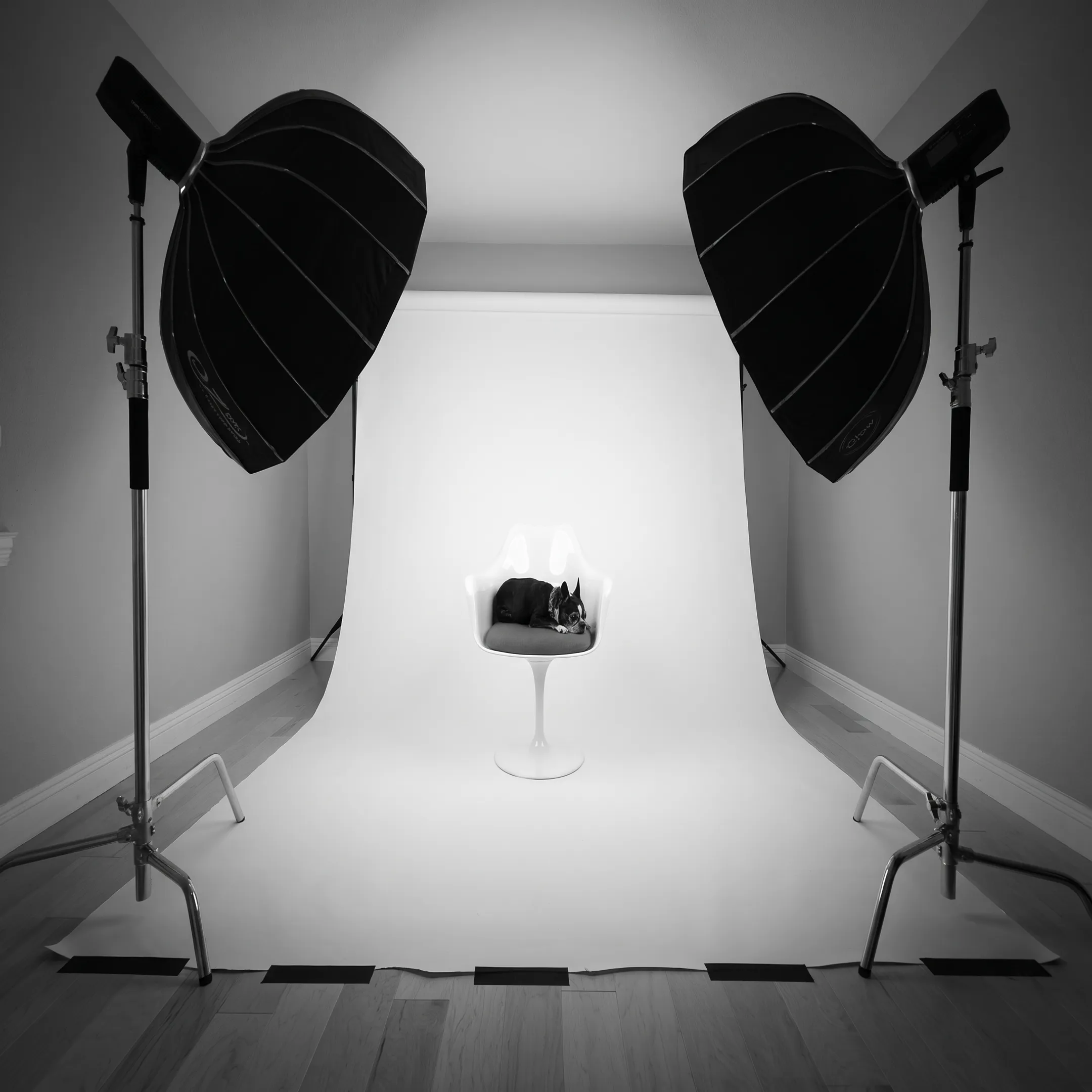 Commercial photographer arranging studio lighting and camera equipment for a product shoot