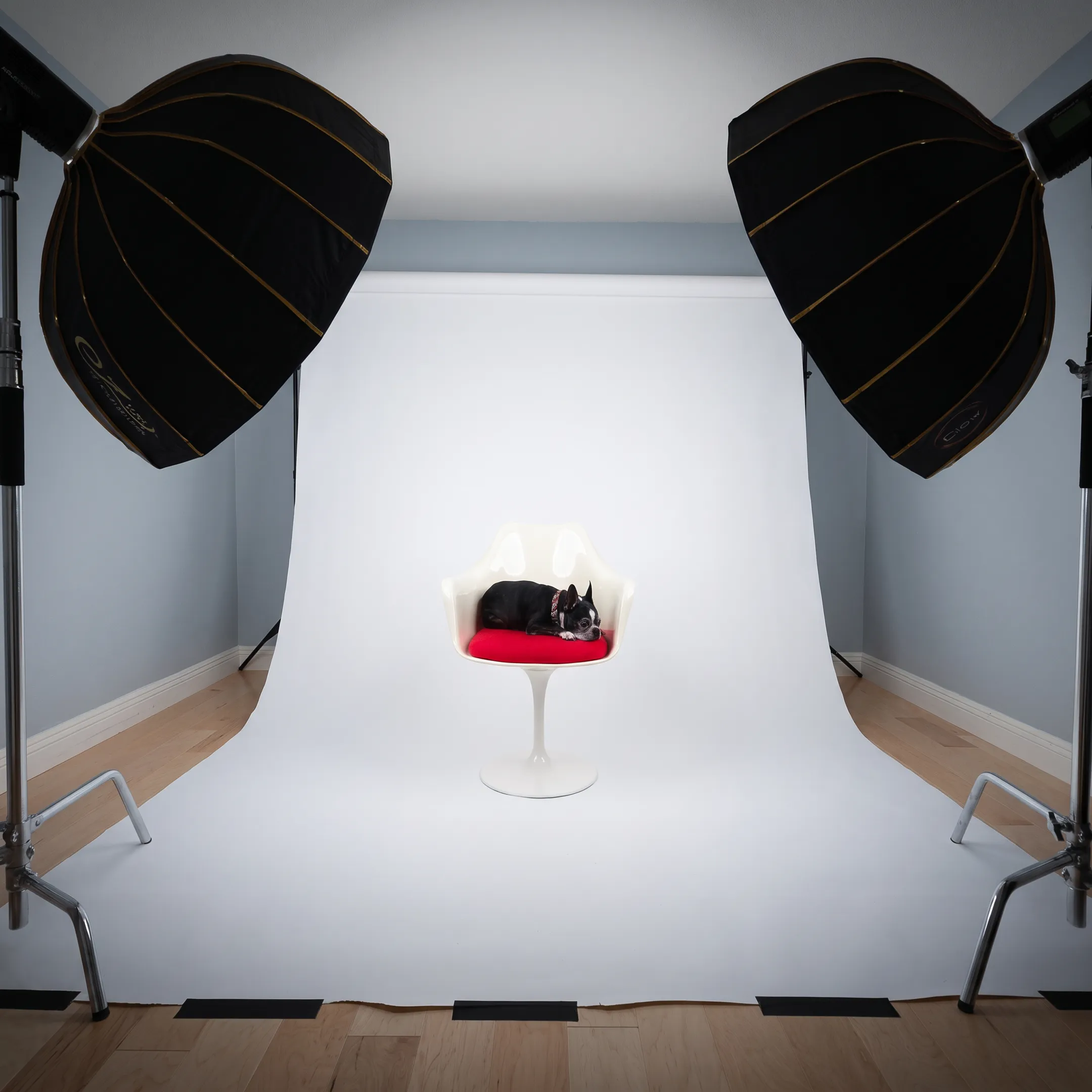 Product photoshoot setup with professional studio lighting and cameras