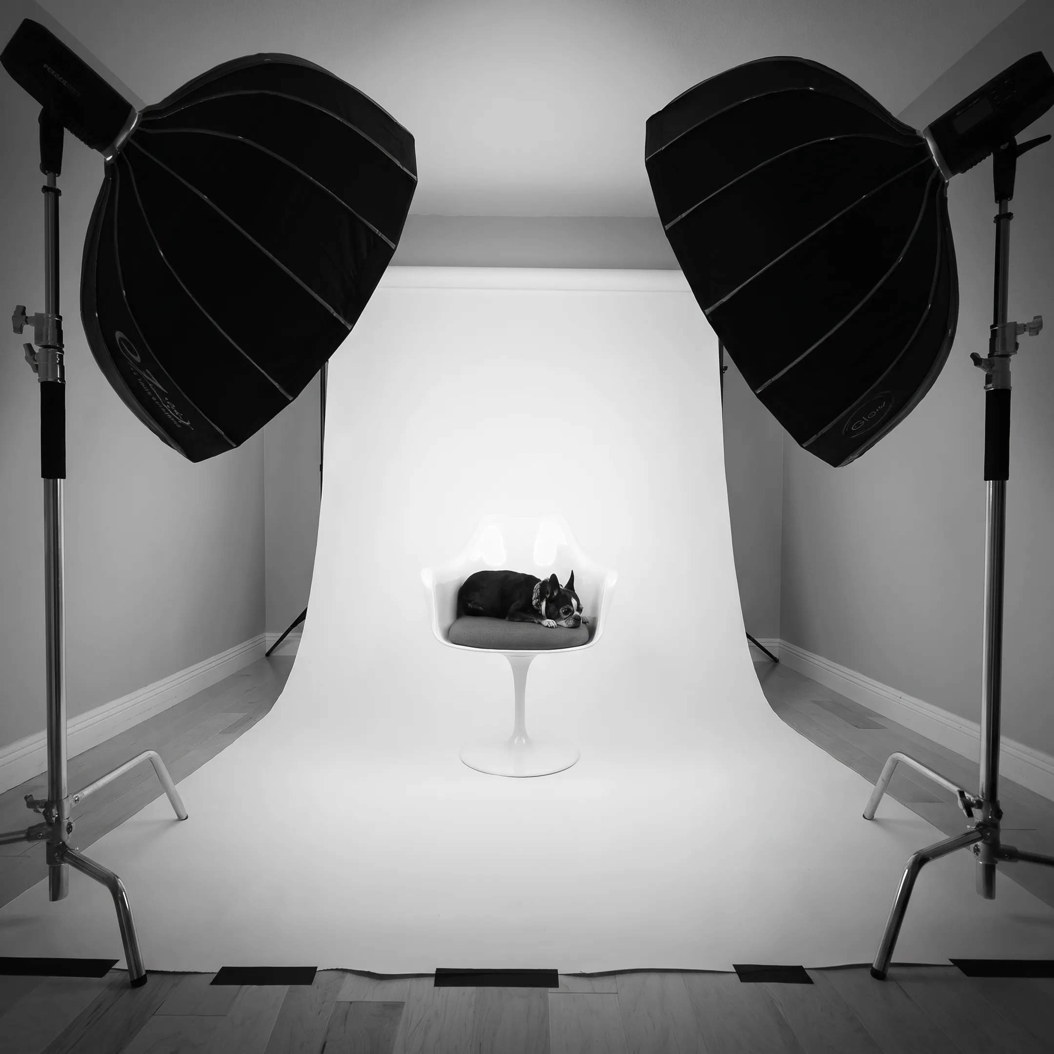 Commercial studio lighting setup capturing ecommerce products on a pure white backdrop