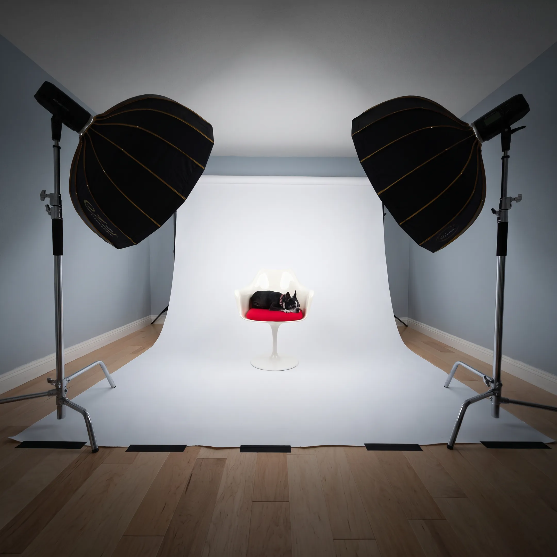 Commercial product photography setup with professional studio lighting and cameras