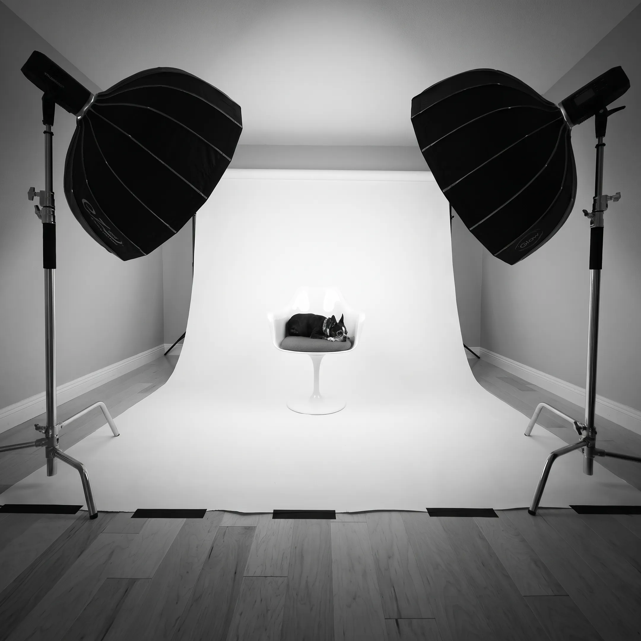 Personal branding photography session featuring professional portraits and styled lifestyle imagery