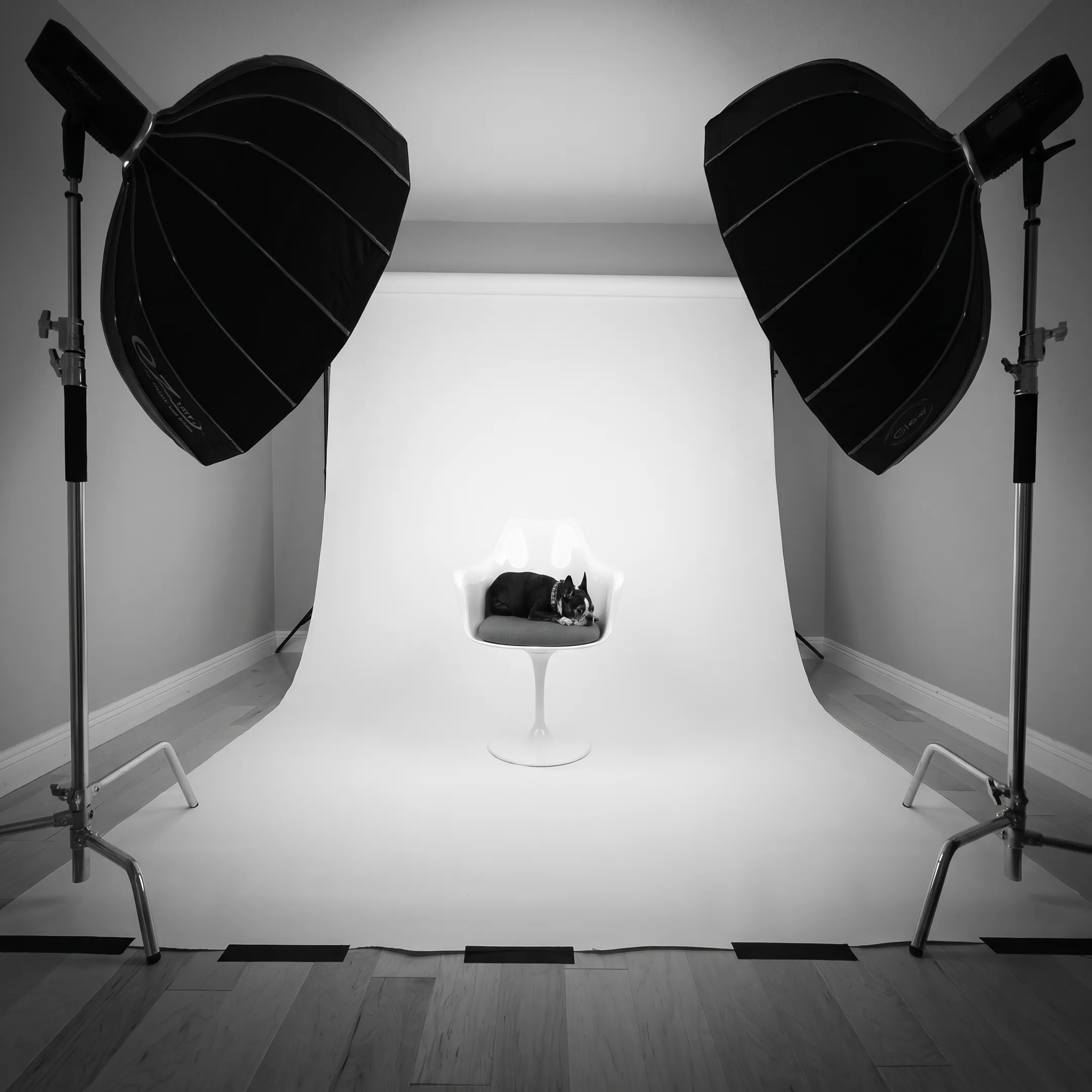 Professional commercial photography studio lighting setup with camera equipment and styled products