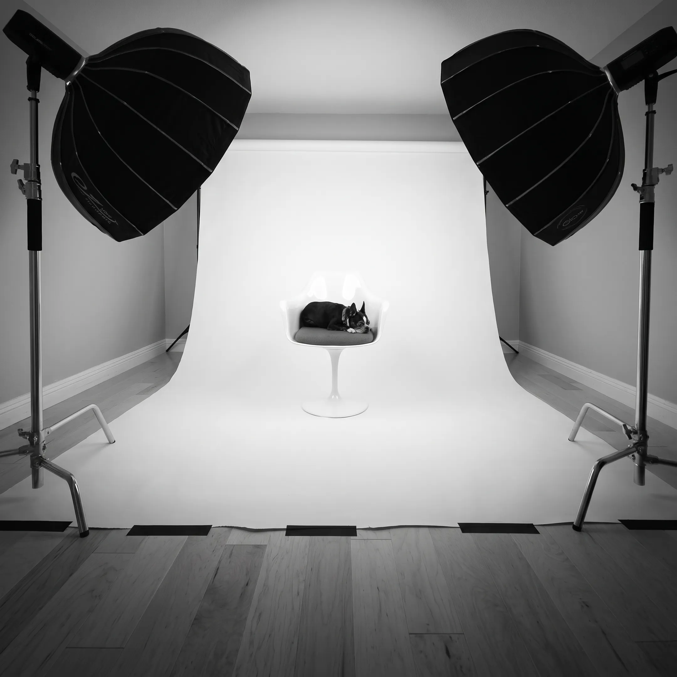 Professional commercial photography studio setup in San Diego with lighting equipment and product table