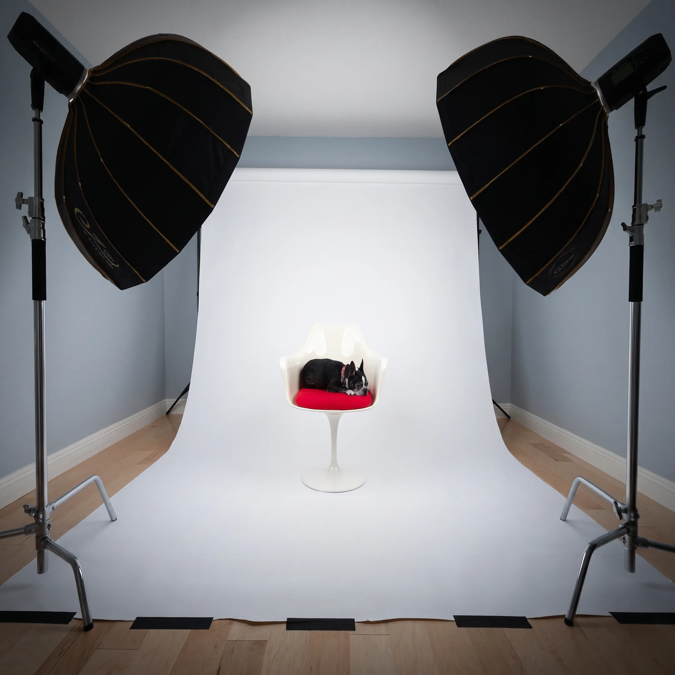 Commercial studio lighting setup with camera and tabletop product display