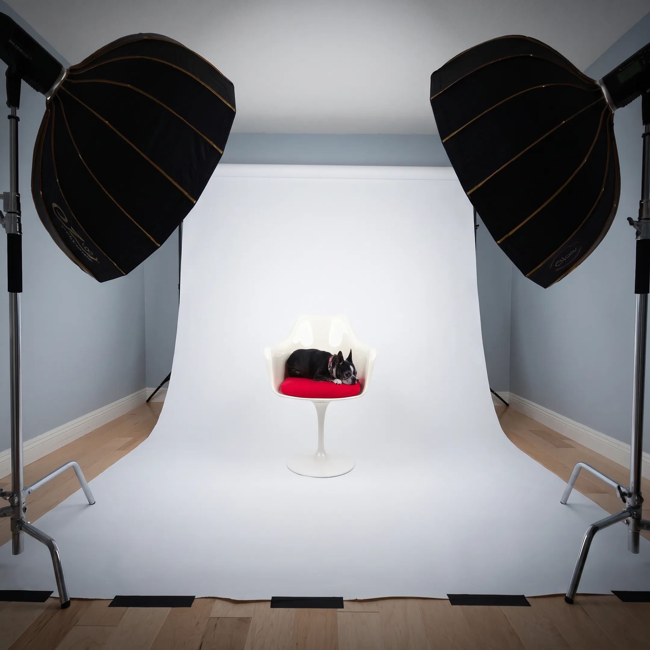 Photographer adjusting lighting equipment beside commercial studio setup