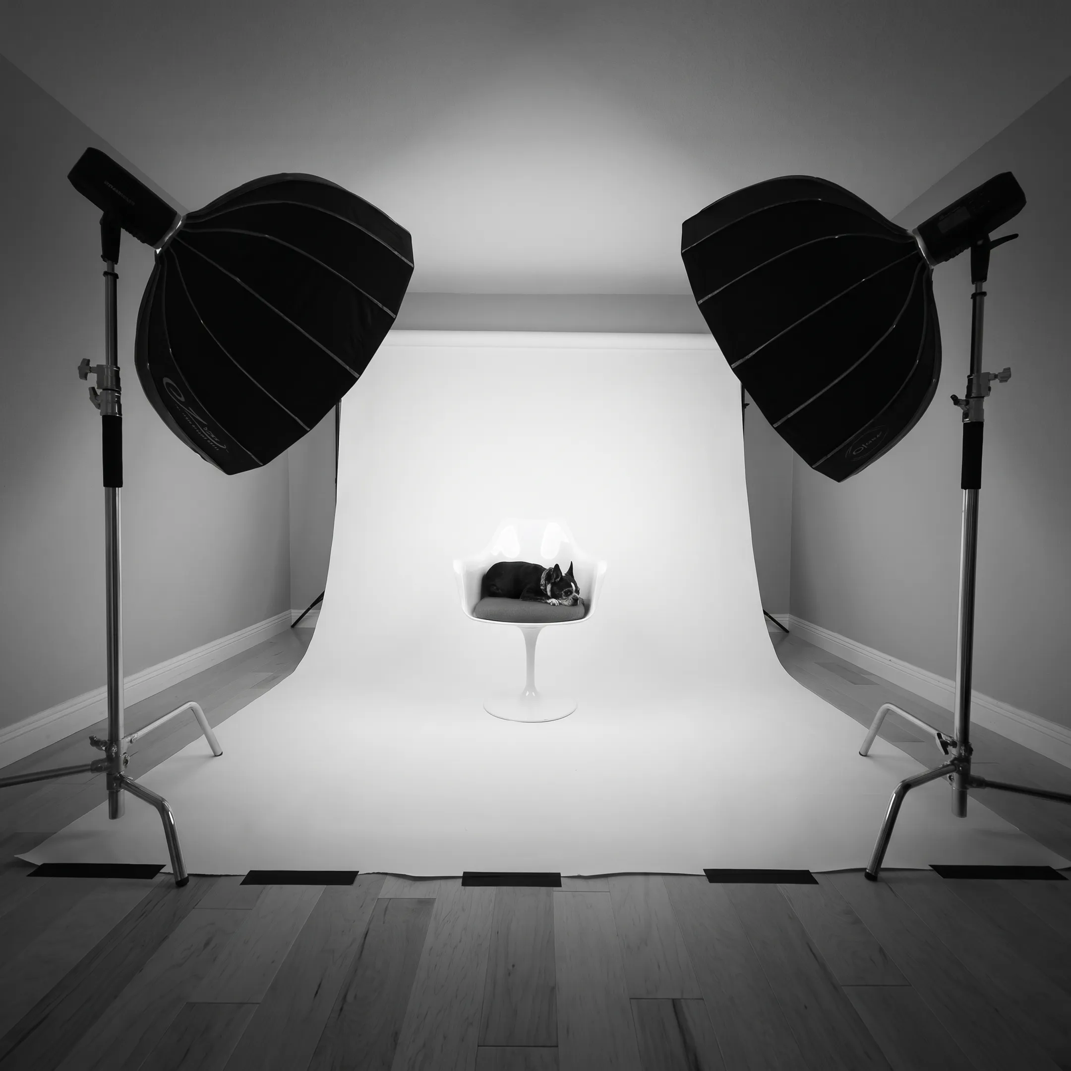 Commercial product photography setup with studio lighting and high-end merchandise