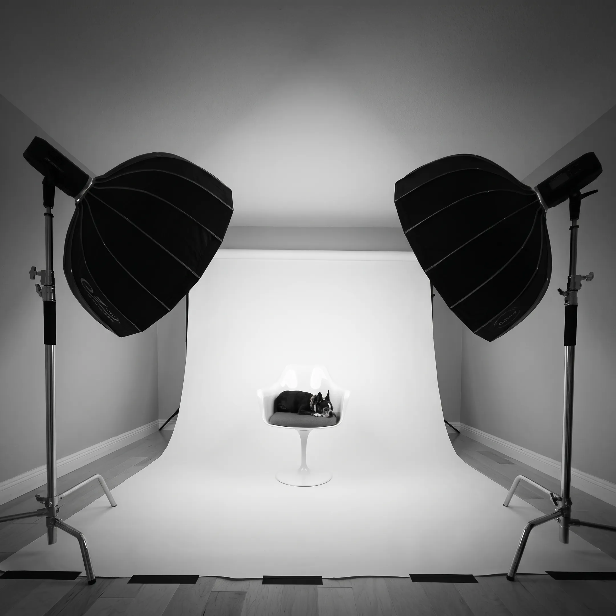 High-end product photography studio setup showcasing styled consumer merchandise
