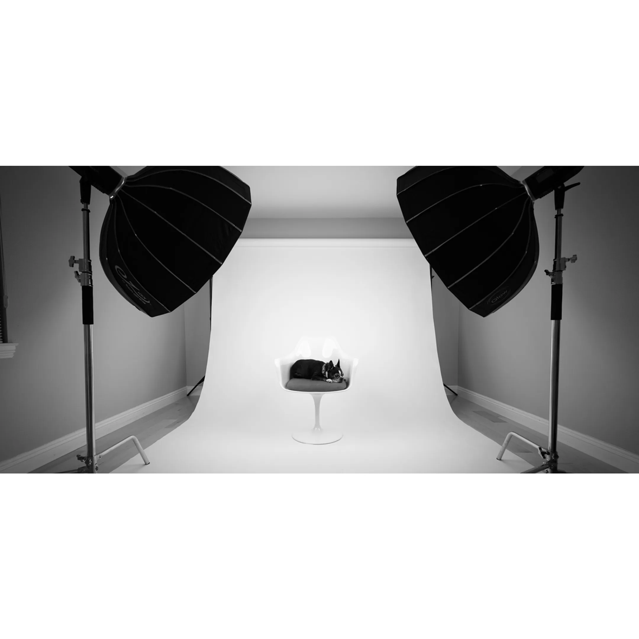 Professional commercial photographer setting up lighting for brand product photography
