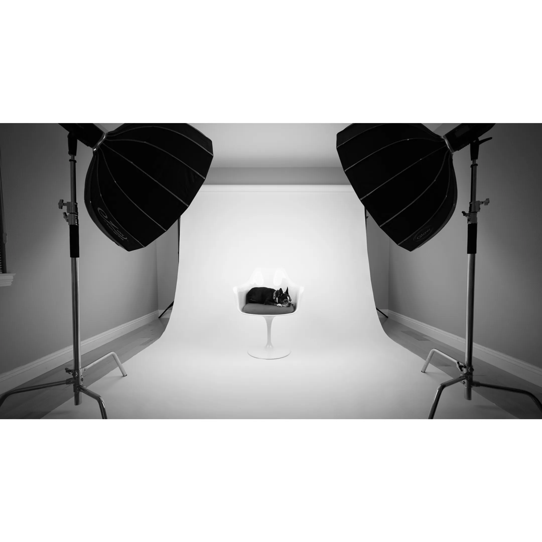 Photographer adjusting lighting equipment beside commercial studio setup