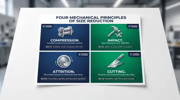 Four mechanical forces of food size reduction compression impact attrition cutting
