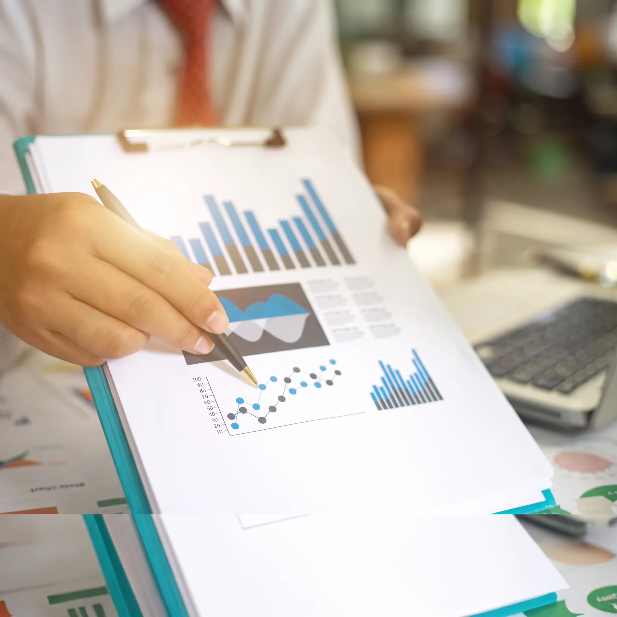 Florida Business Tax Services (Corporate & LLC)