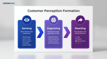Three-stage customer perception process flow sensing organizing reacting infographic
