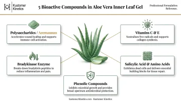 Aloe vera inner gel five key bioactive compounds and skin benefits infographic