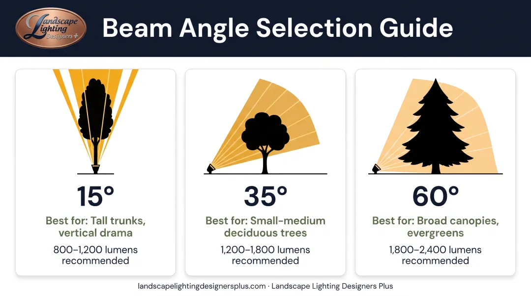 Beam angle comparison chart showing 15-degree 35-degree and 60-degree spread patterns for tree lighting
