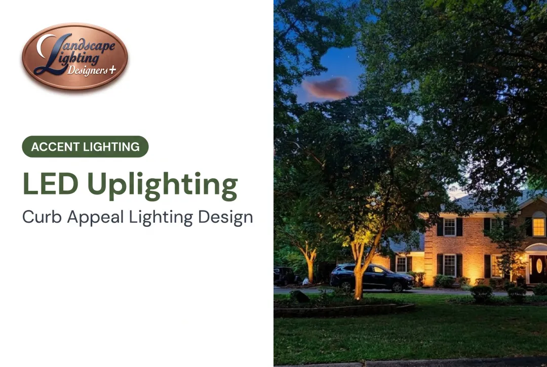 LED Uplighting