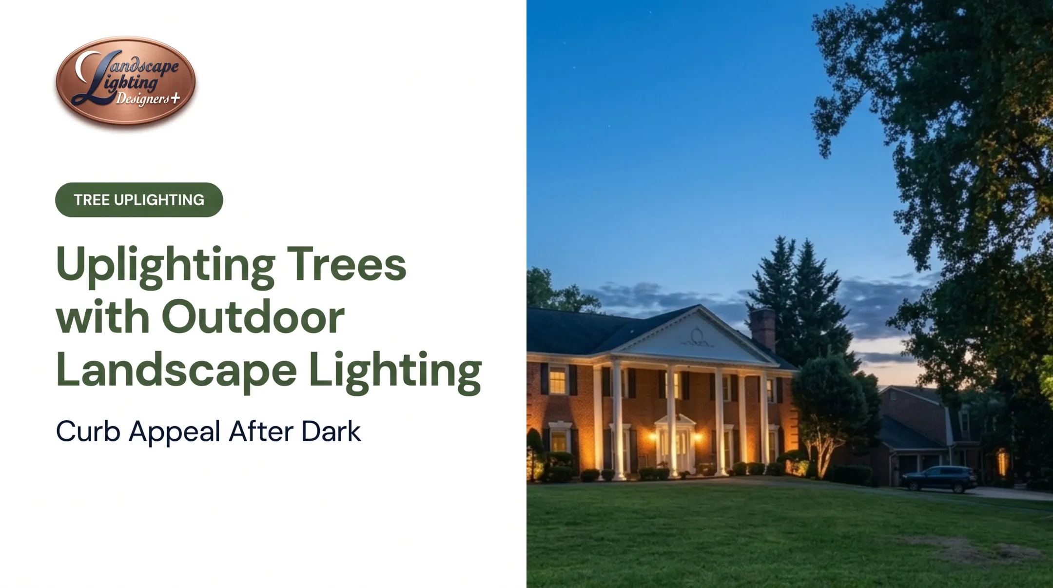 Uplighting Trees with Outdoor Landscape Lighting