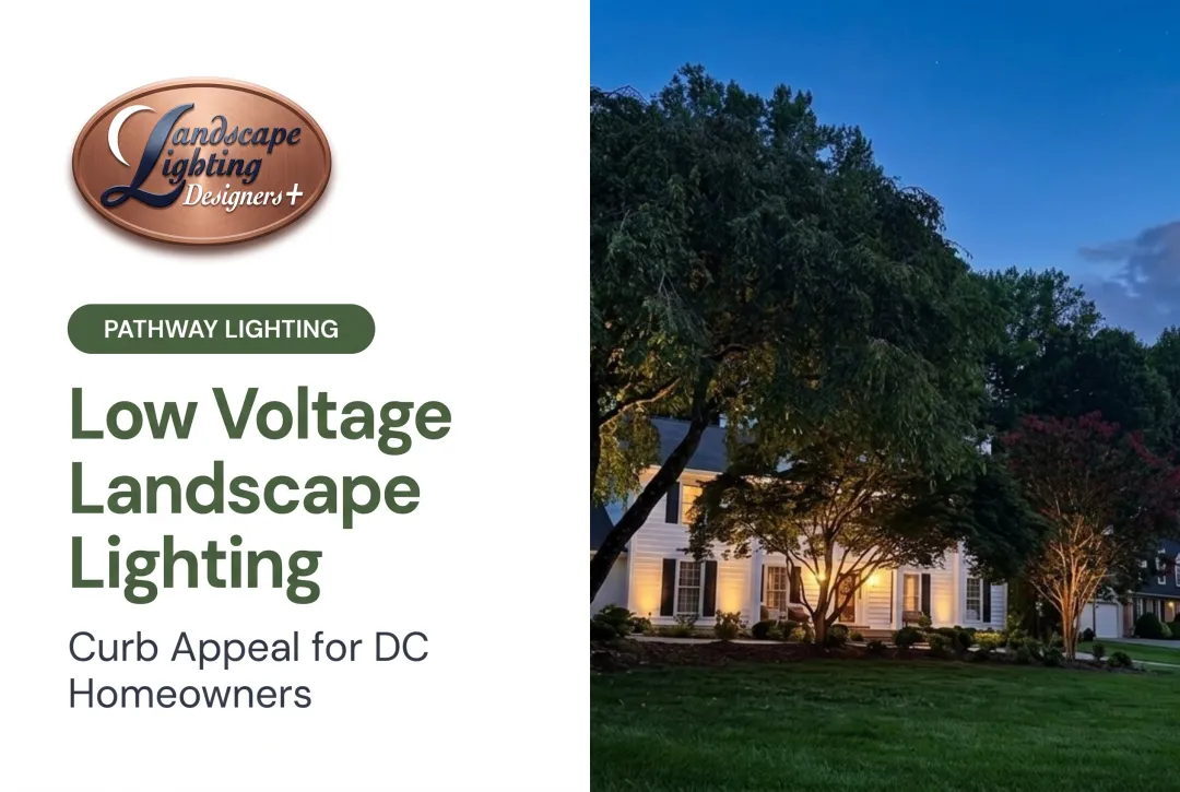 Low Voltage Landscape Lighting