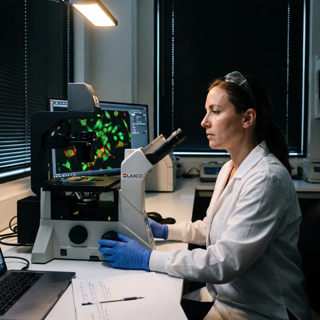 Cancer Research (Oncology)
