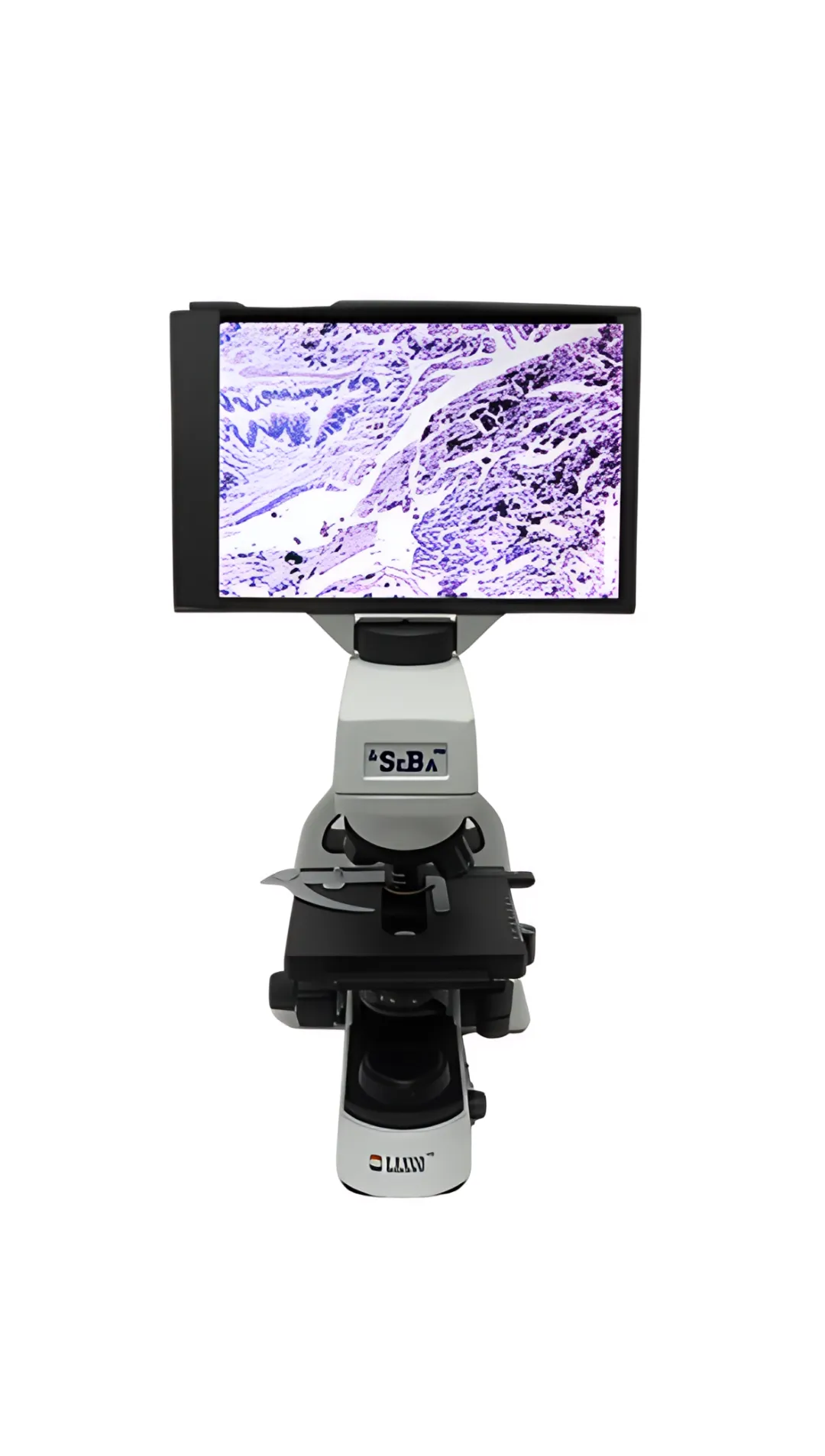 Laxco SeBa2 Digital Microscope
