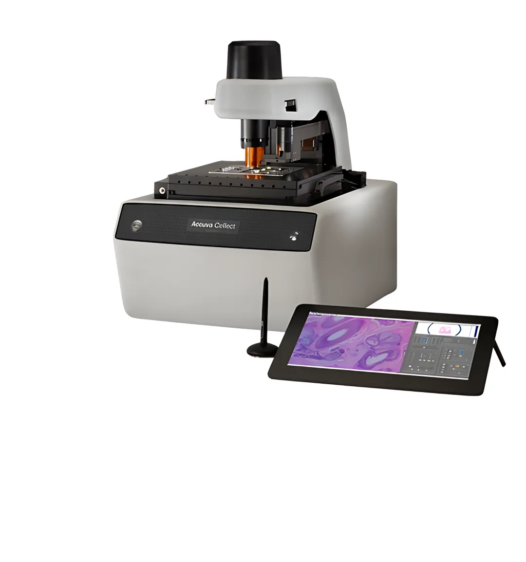 Drug discovery imaging