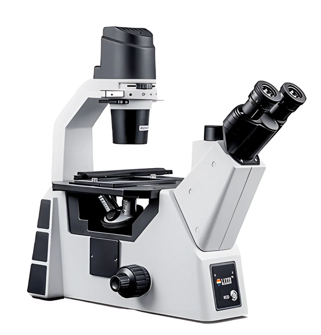 Developmental biology imaging