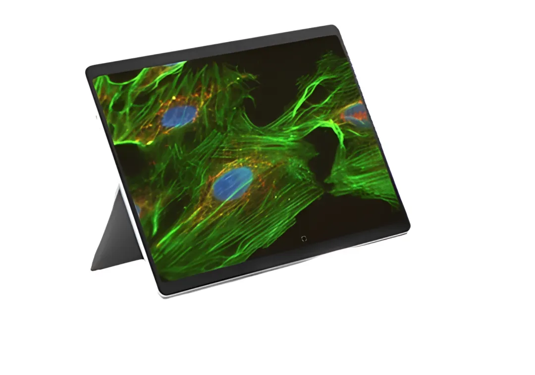 Cancer research cell imaging