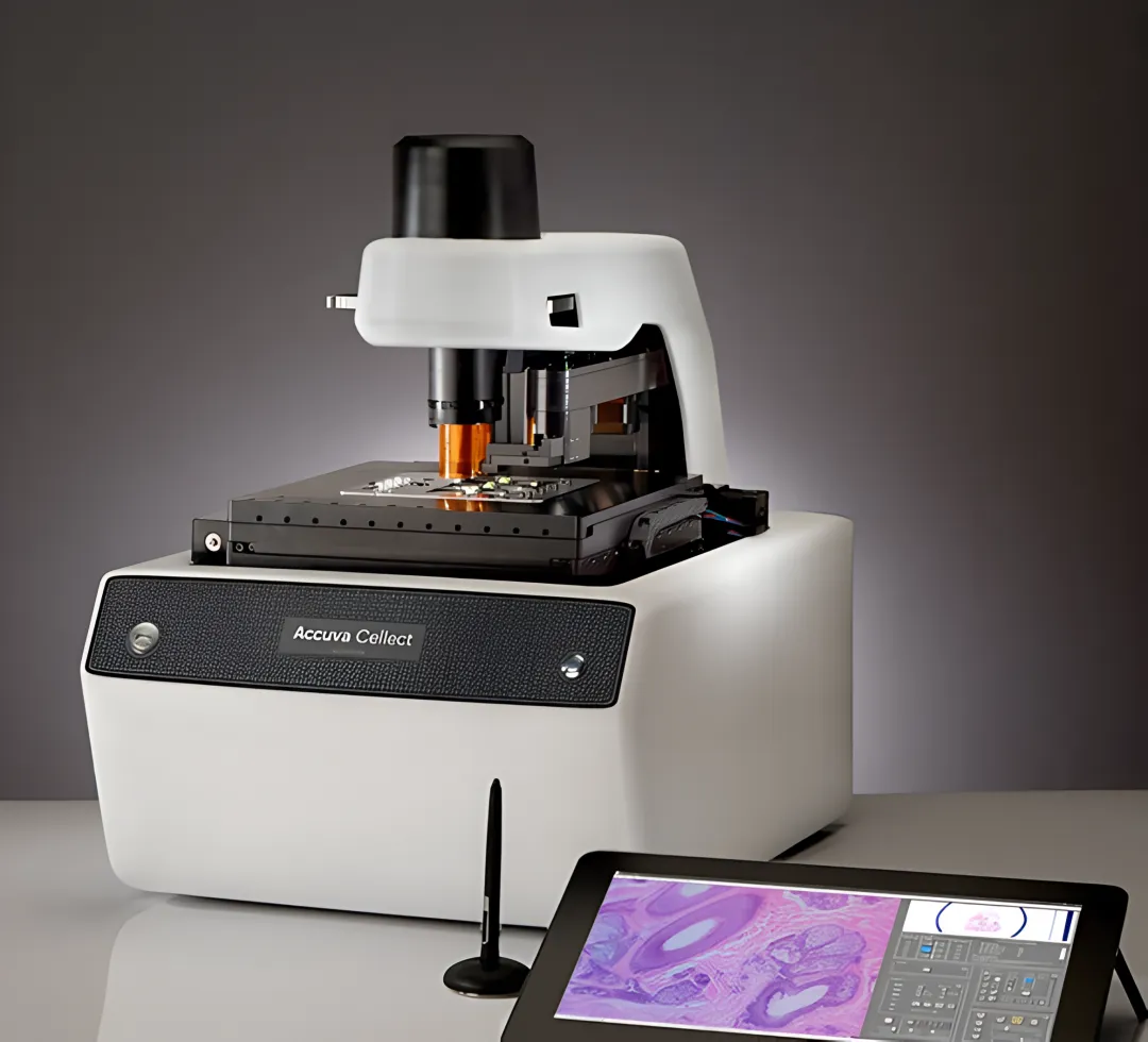 Laser capture microdissection