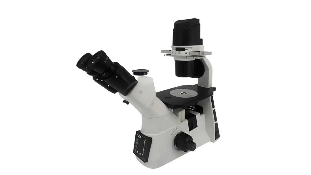 Developmental Biology
