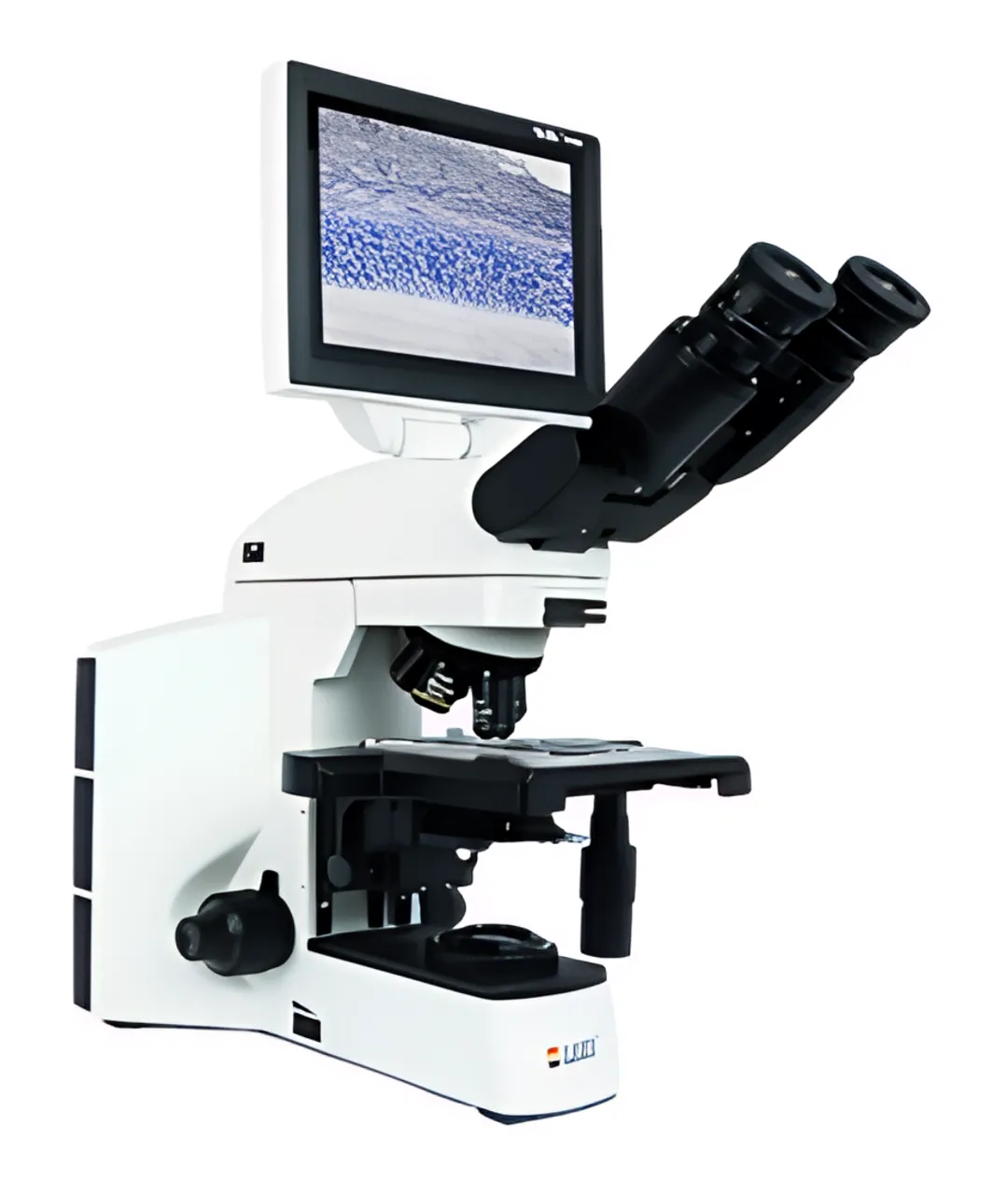 Life Science Research