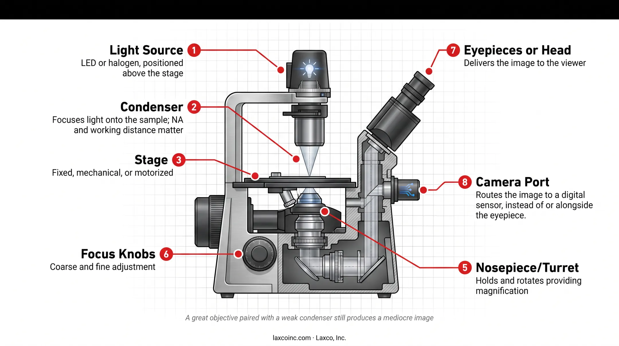 Main components diagram of an inverted microscope labeled parts