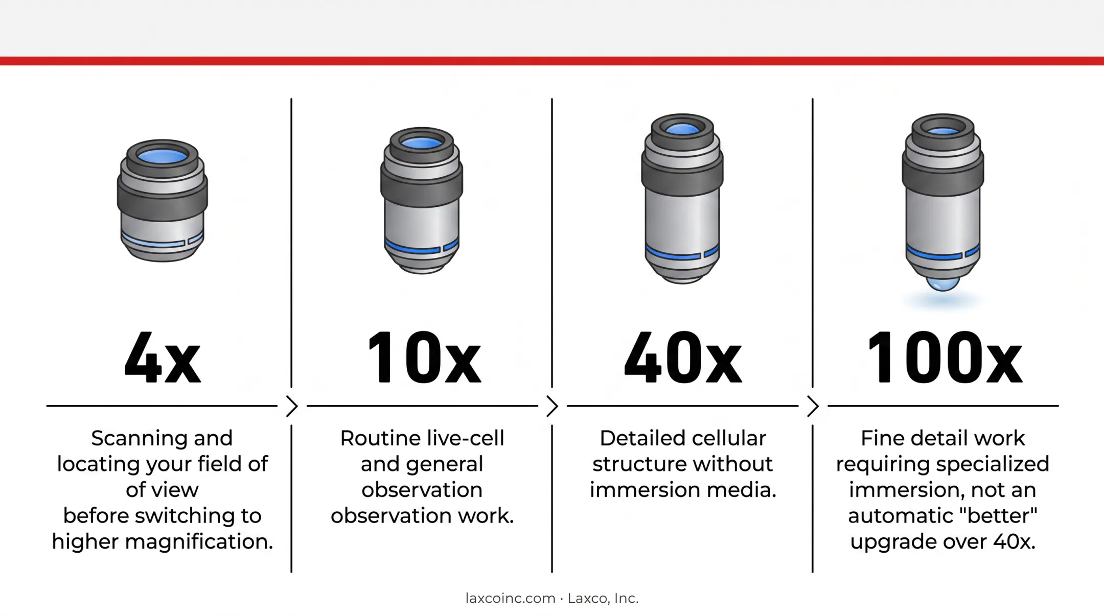 4x 10x 40x 100x objective magnification use case comparison chart