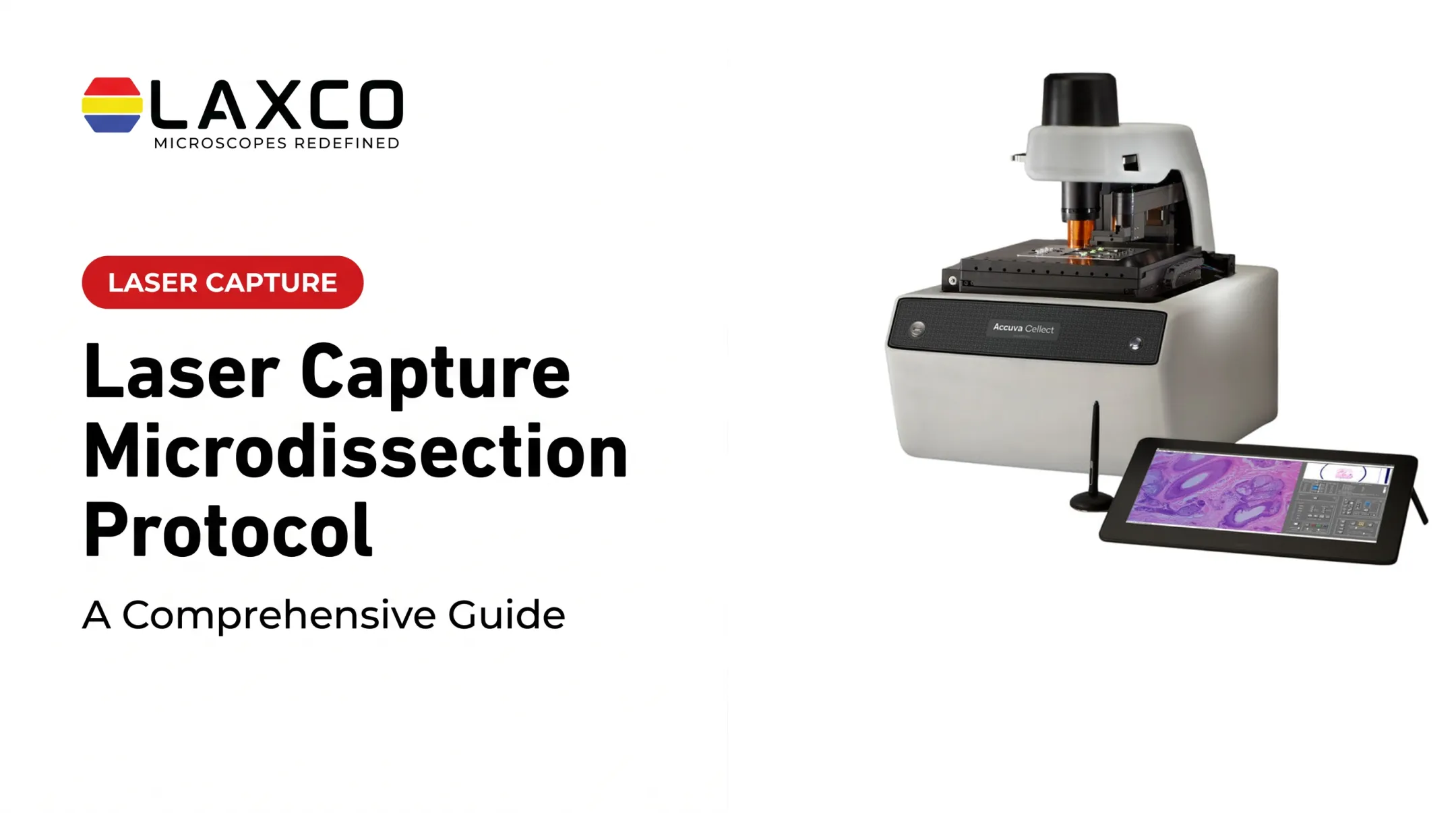 Laser Capture Microdissection Protocol: A Comprehensive Guide