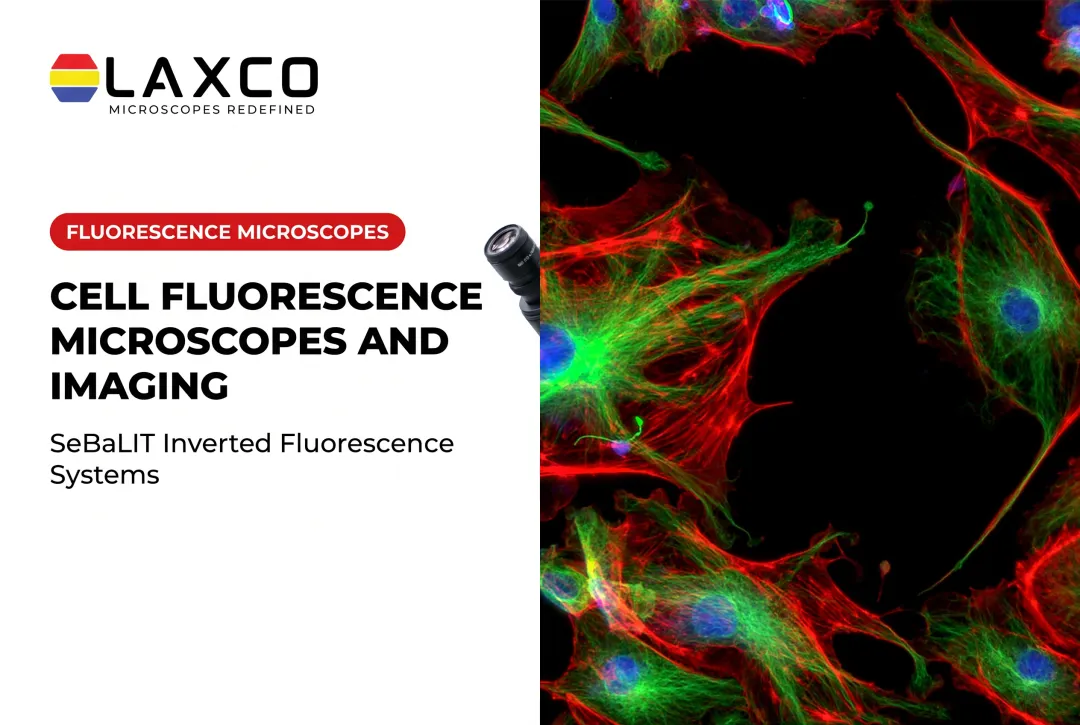 Cell Fluorescence Microscopes and Imaging
