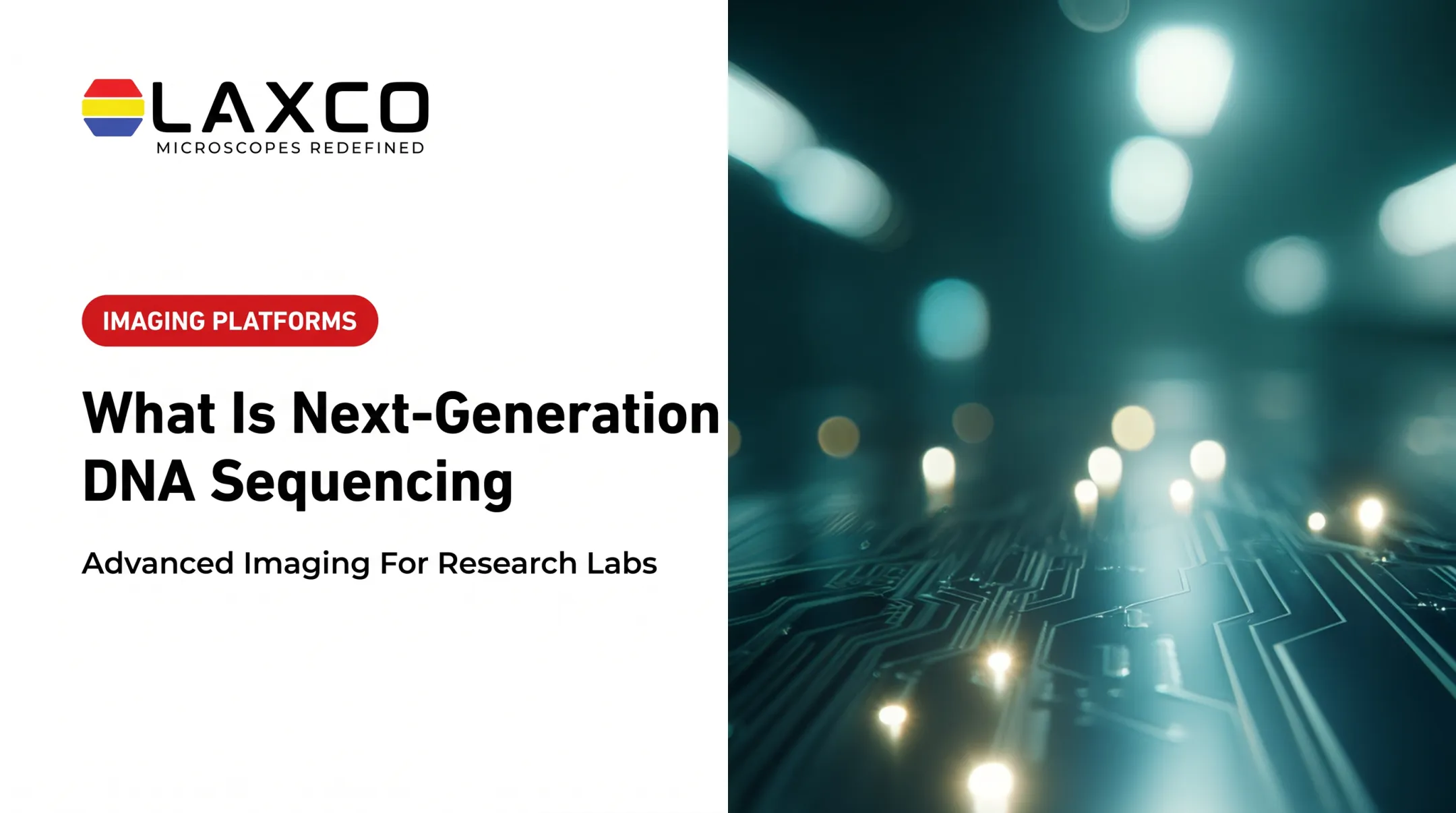 What Is Next-Generation DNA Sequencing