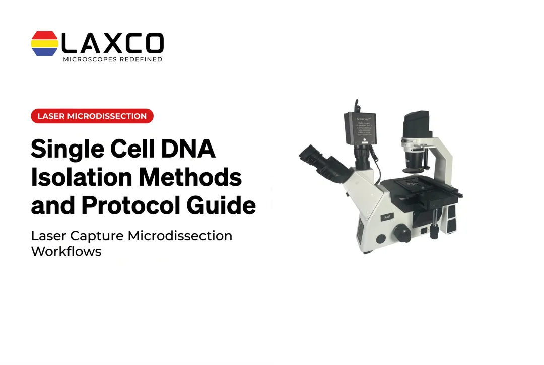 Single Cell DNA Isolation Methods and Protocol Guide