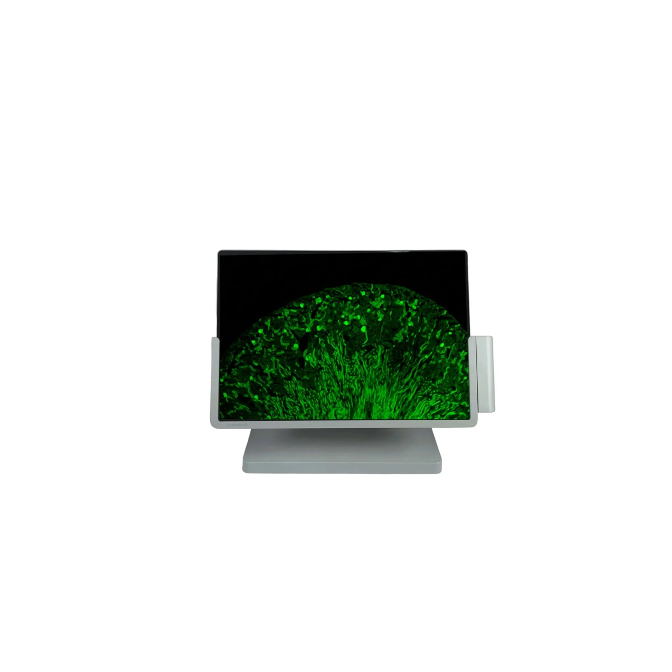Digital microscope image analysis on a laboratory monitor