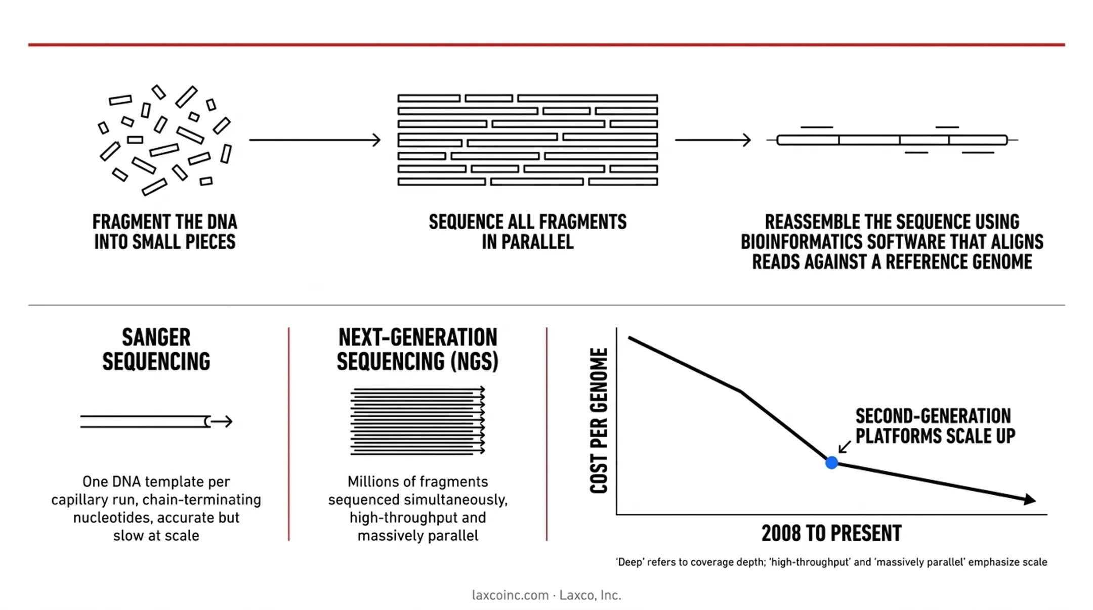 NGS workflow showing fragmentation parallel sequencing and reassembly steps