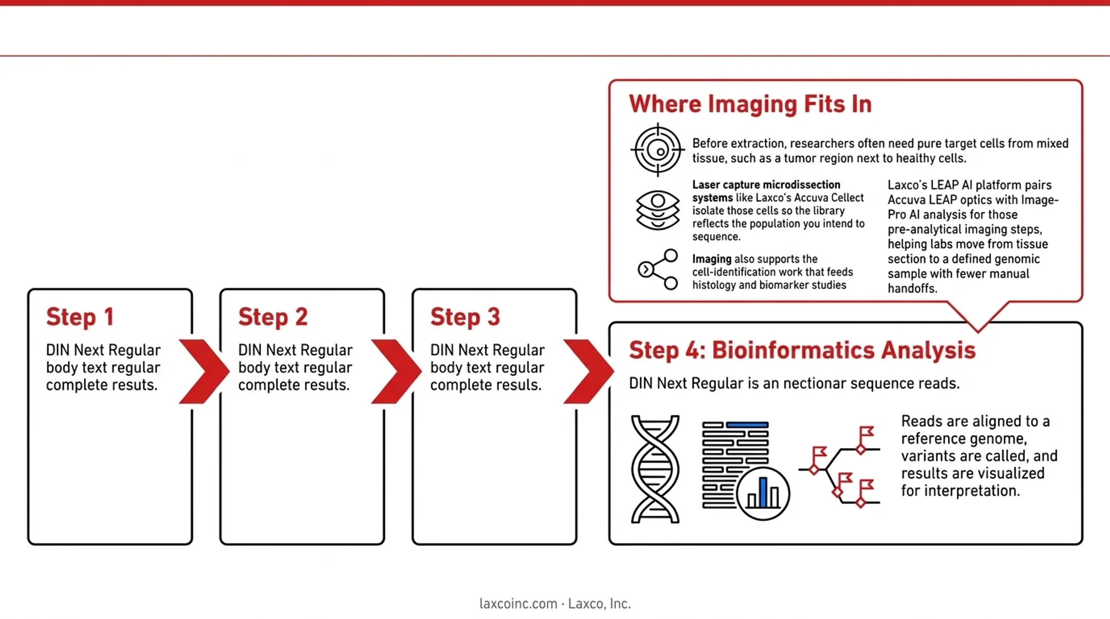 Four step NGS workflow from extraction to bioinformatics analysis diagram