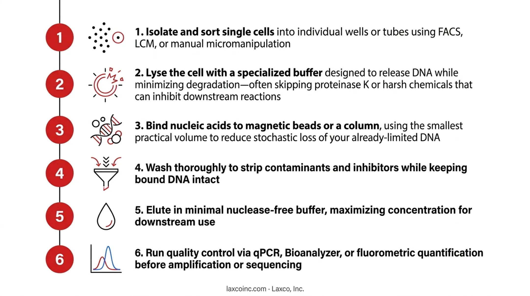 6-step single-cell DNA isolation protocol from sorting to quality control