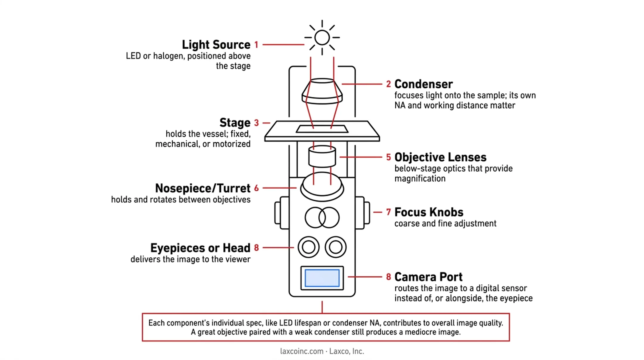 Main components diagram of an inverted microscope labeled parts