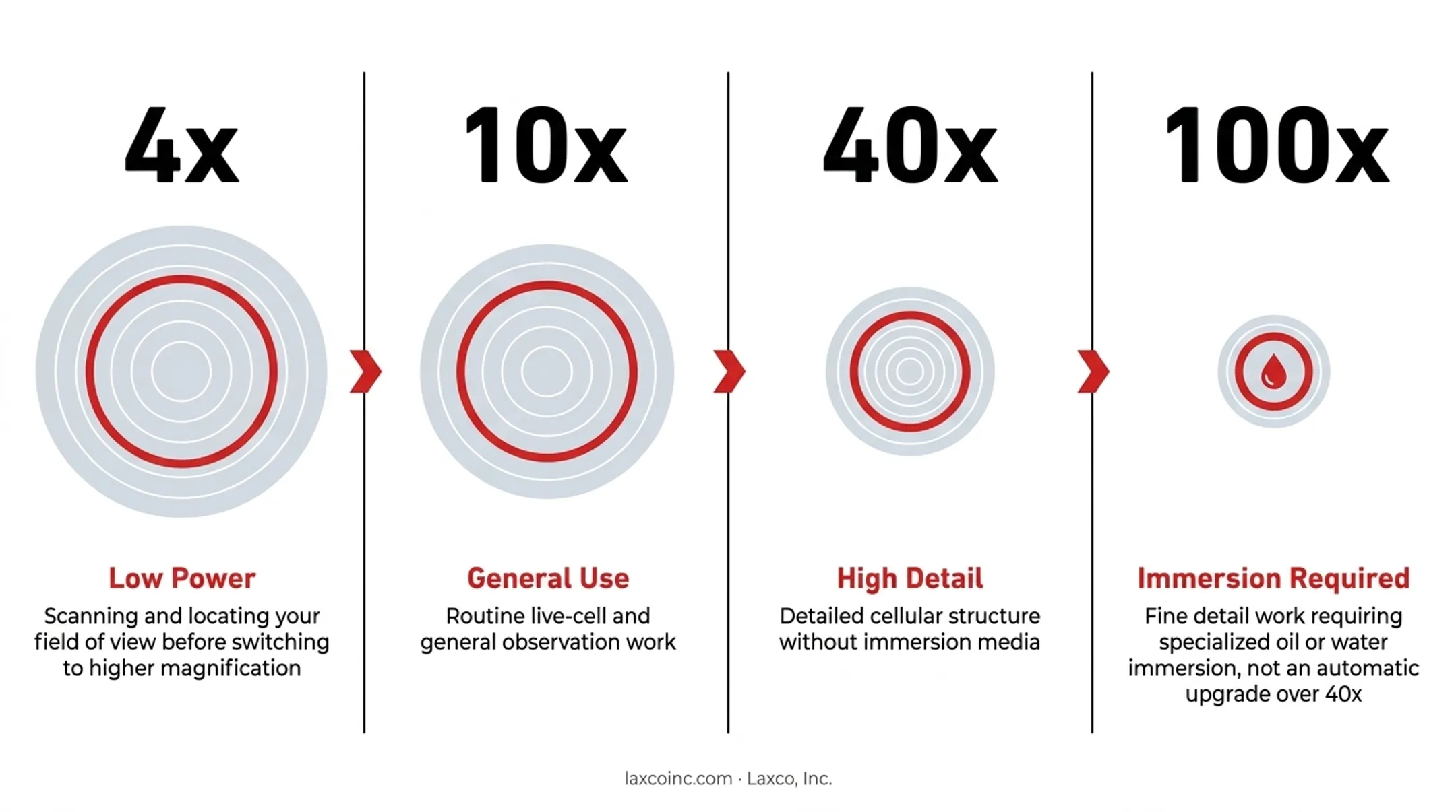 4x 10x 40x 100x objective magnification use case comparison chart