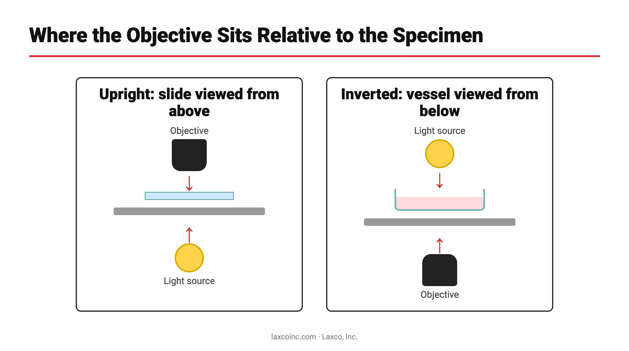 Objective and light source positions in upright and inverted microscopes