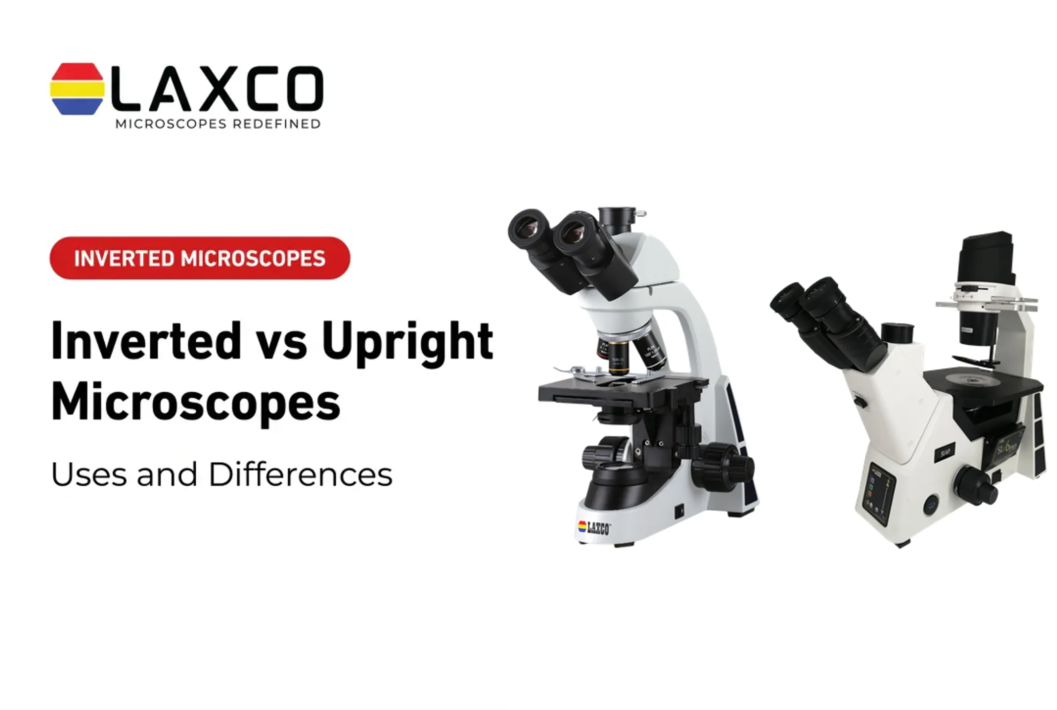 Inverted vs Upright Microscopes: Uses and Differences